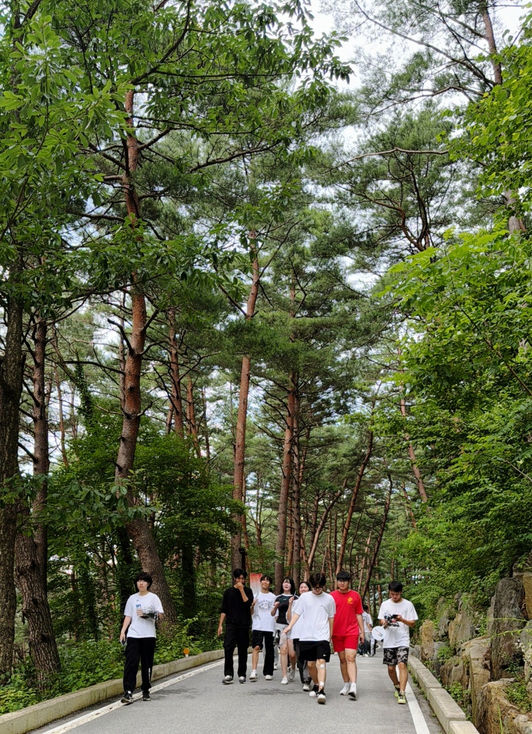 (주)금강송 이미지