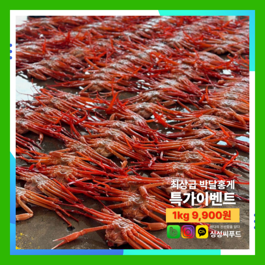 싱싱씨푸드 이미지