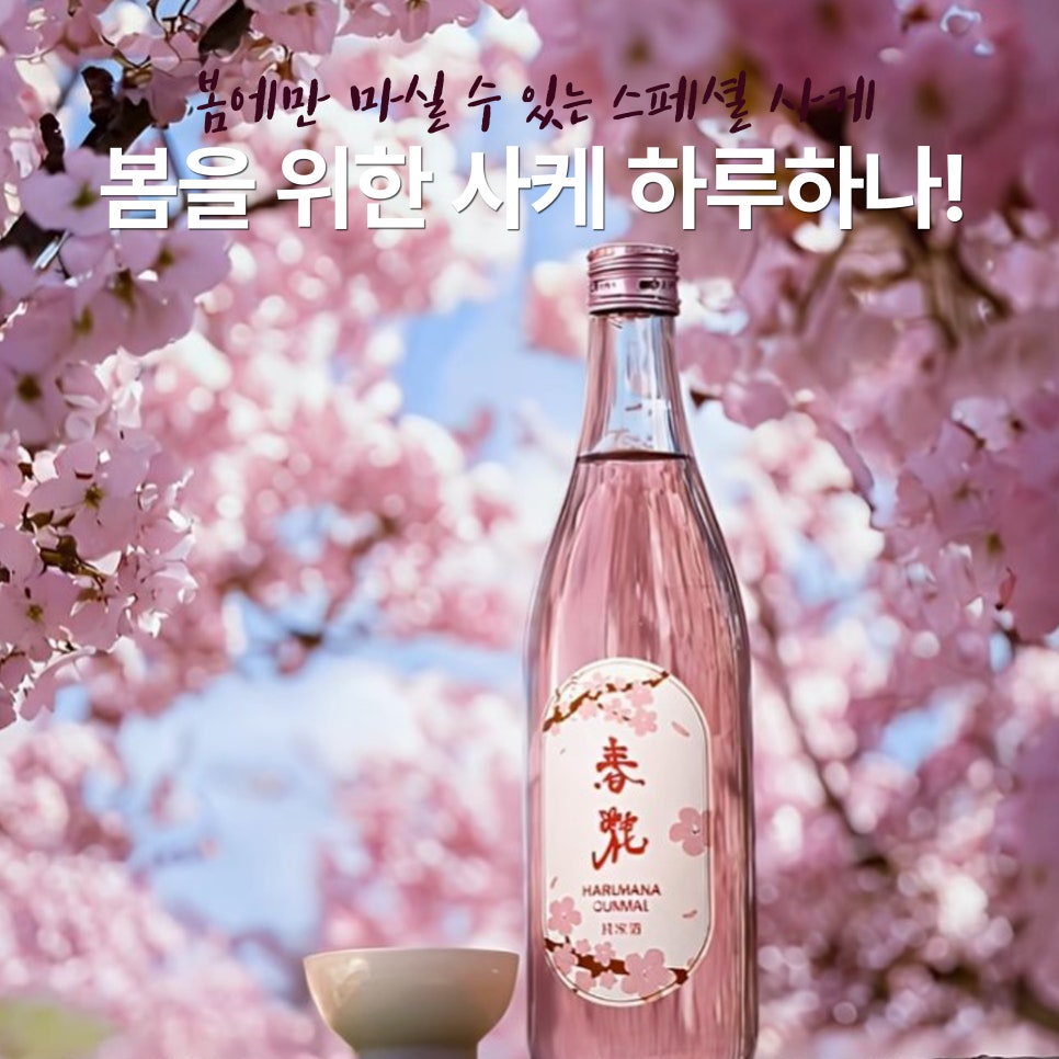 하루하나(HARUHANA) 이미지