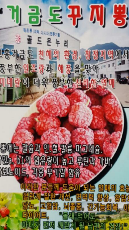 골드온누리 이미지