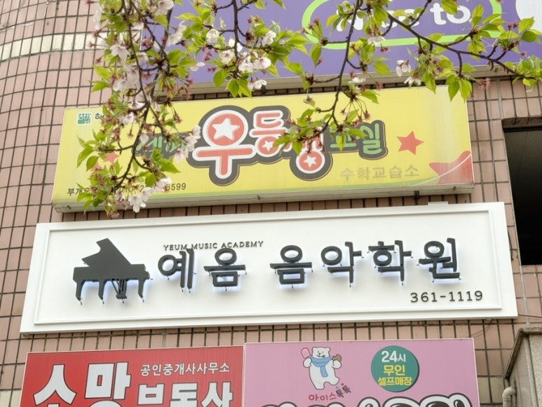 예음피아노음악학원 이미지