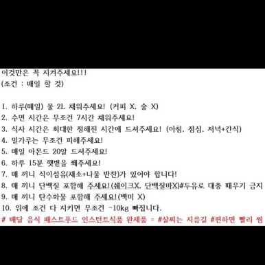 터트 이미지