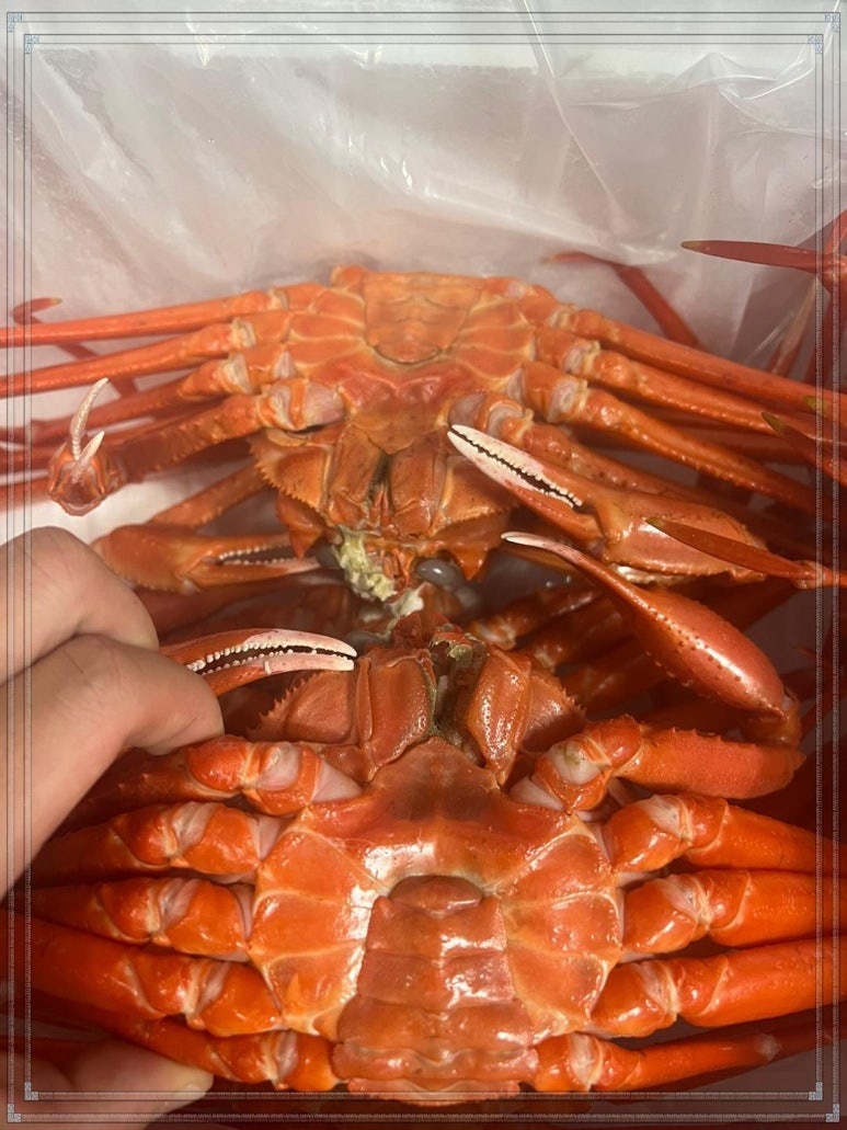 동해계절맛집 이미지