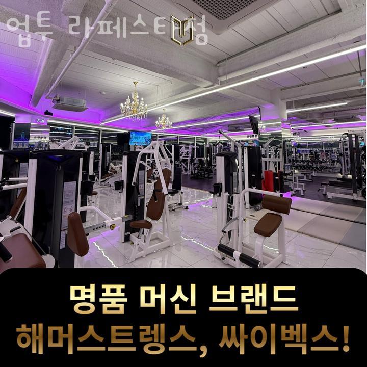 업투라페스타 이미지