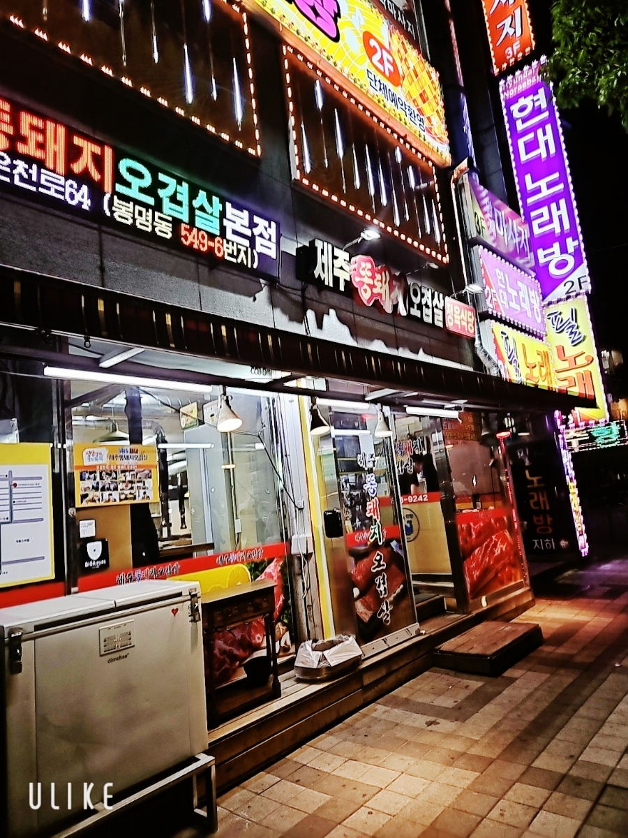 제주똥돼지 이미지