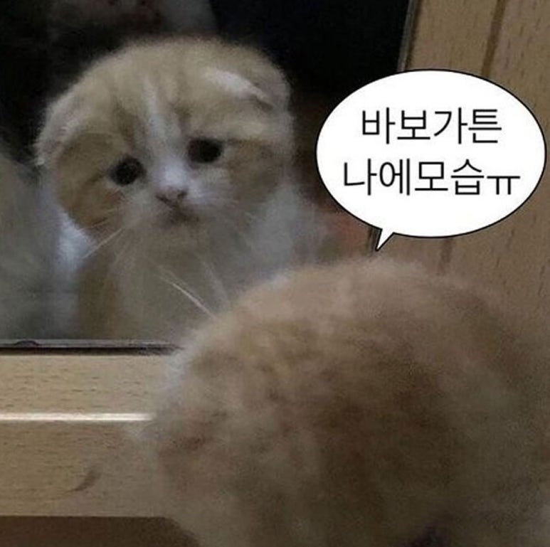 회계와컴퓨터 이미지