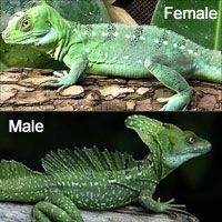그린샵 이미지