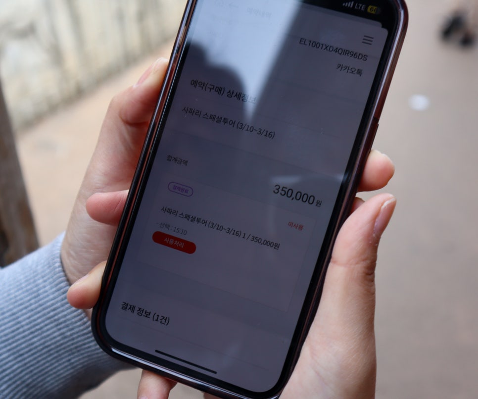 와일드랜드투어 이미지