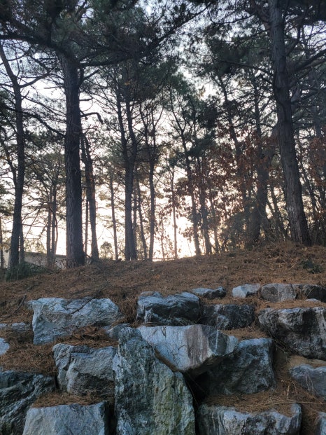 경기종묘사 이미지