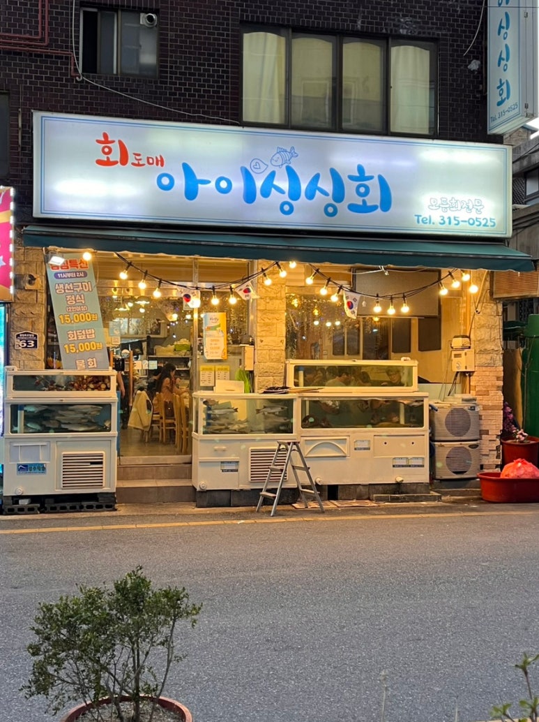 싱싱회 이미지