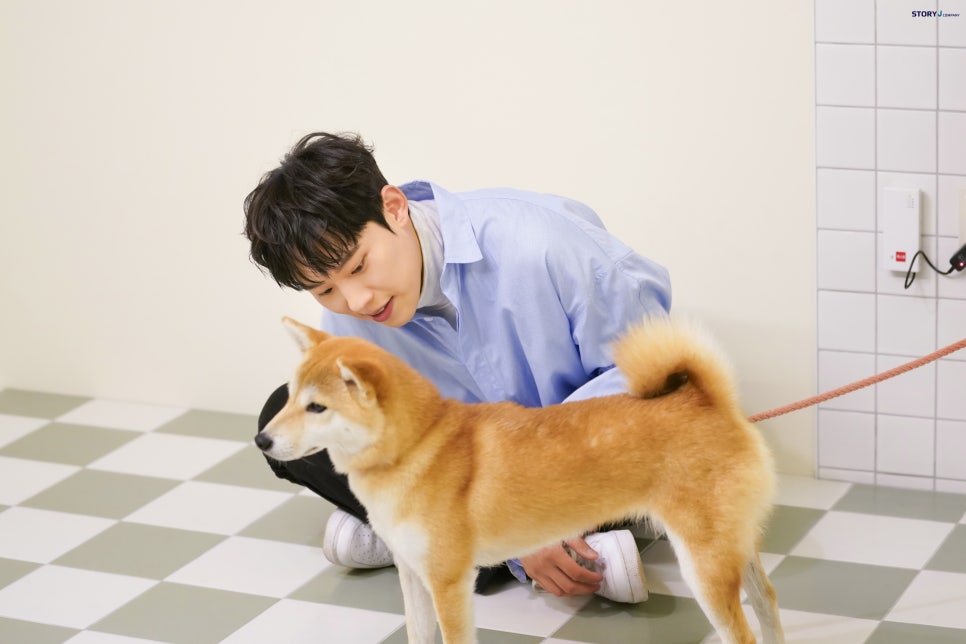 태호 이미지