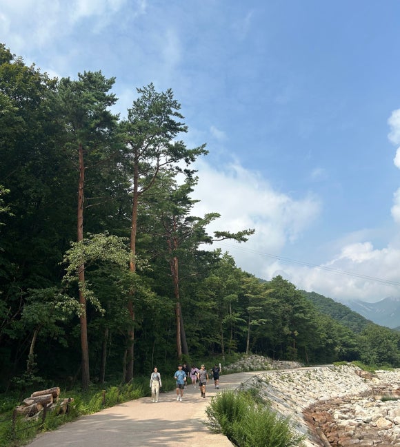 기영이네 이미지