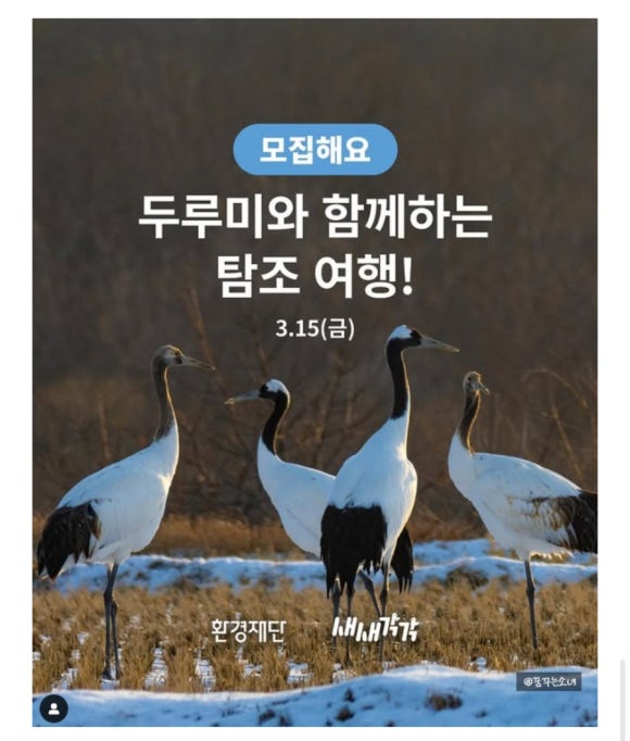 철원기사식당 이미지