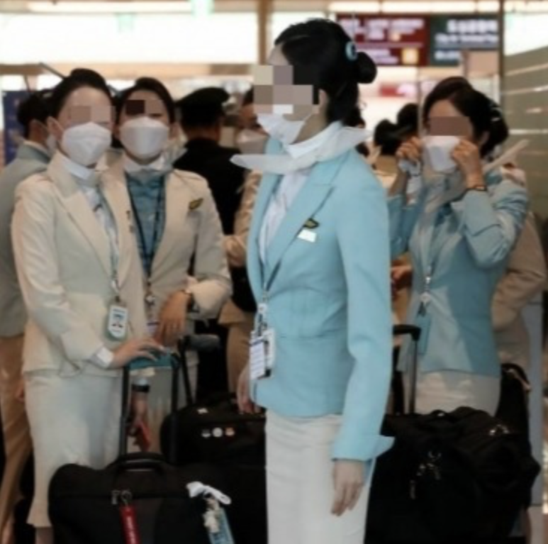 스카이윙 이미지