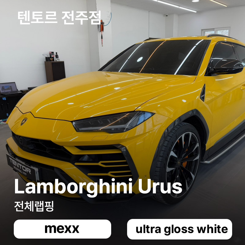 텐토르 이미지