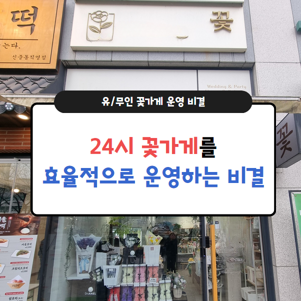 24시꽃 이미지