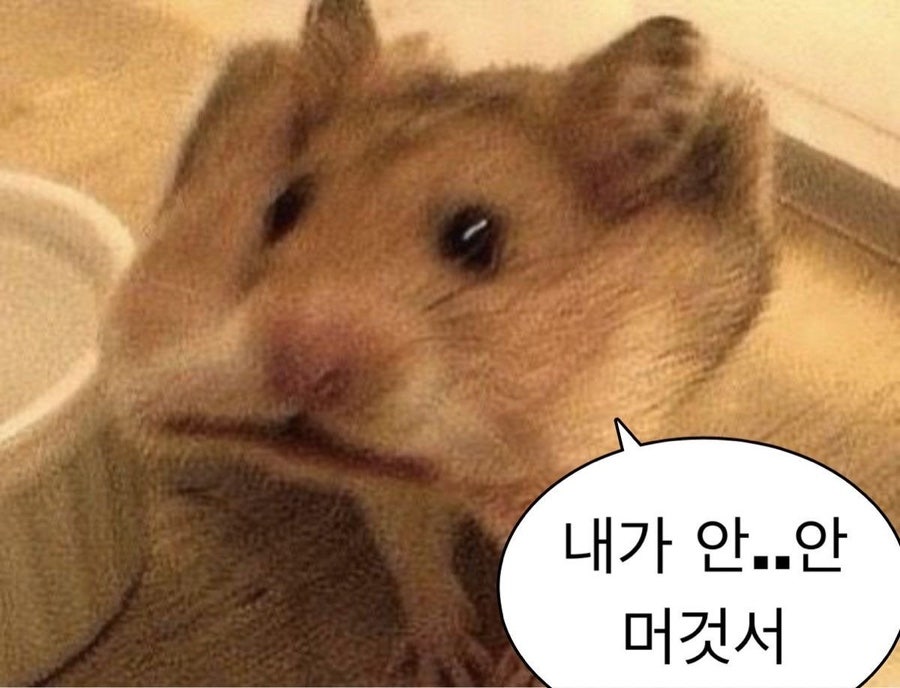 은지슈퍼 이미지