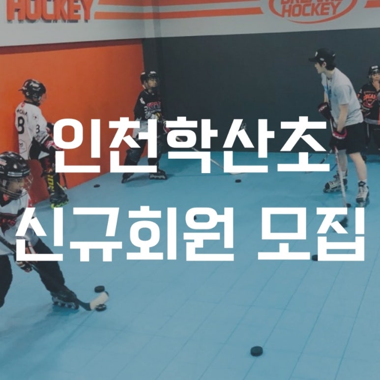 플레임스인라인하키클럽 이미지