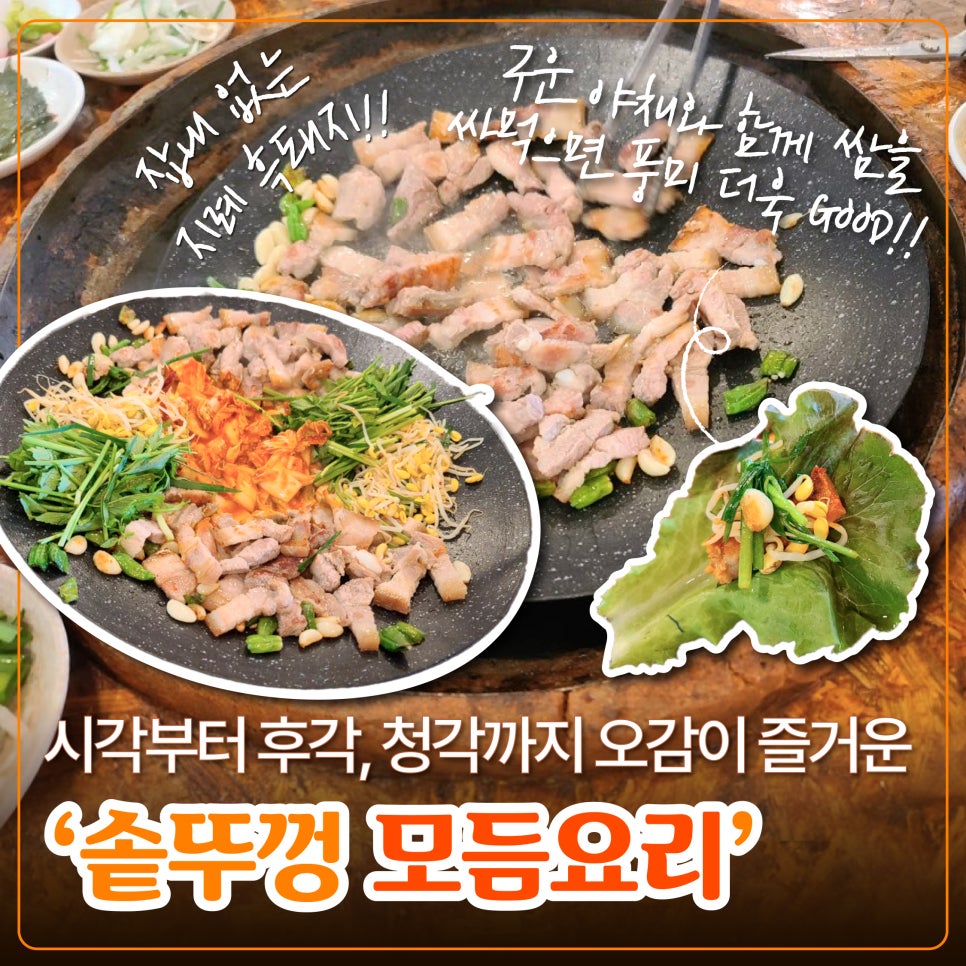 양지뜰 이미지