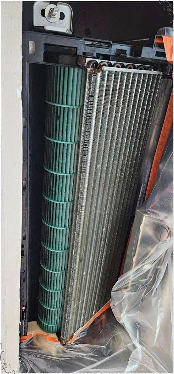에버클린 이미지
