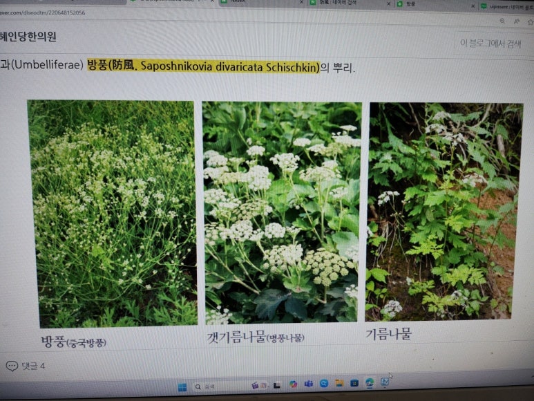혜인당중국한의원 이미지