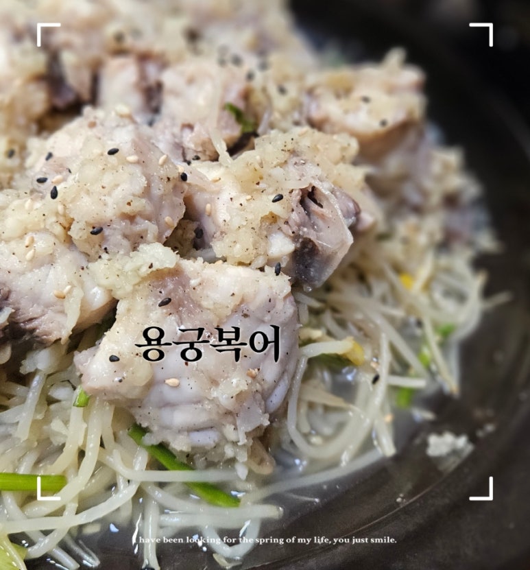 용궁복어 이미지