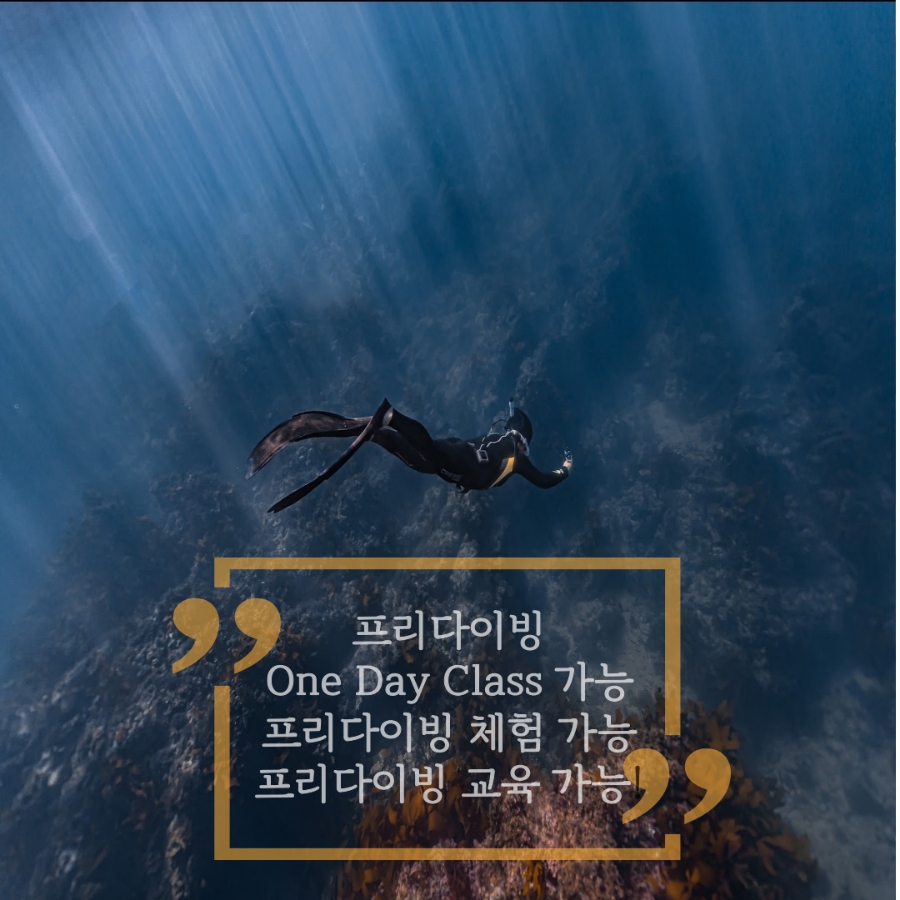 이수수중레져 이미지