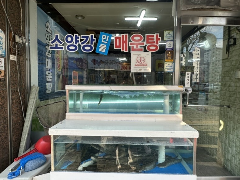 의정부민물고기 이미지