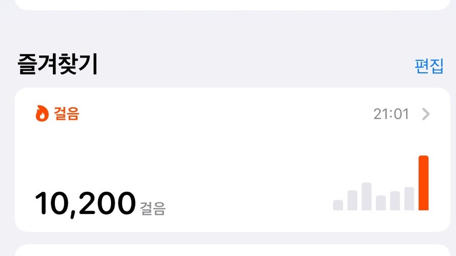 마메드러 이미지