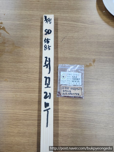 재생사 이미지