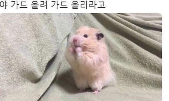 요녀석 이미지