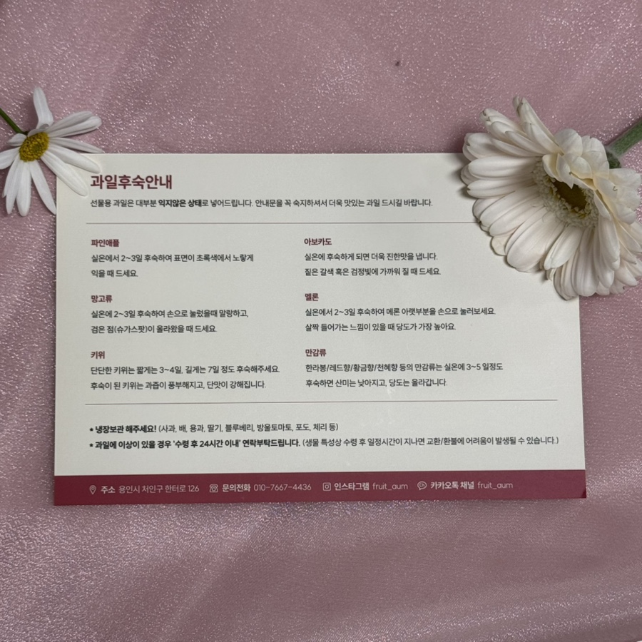 과일다움 이미지