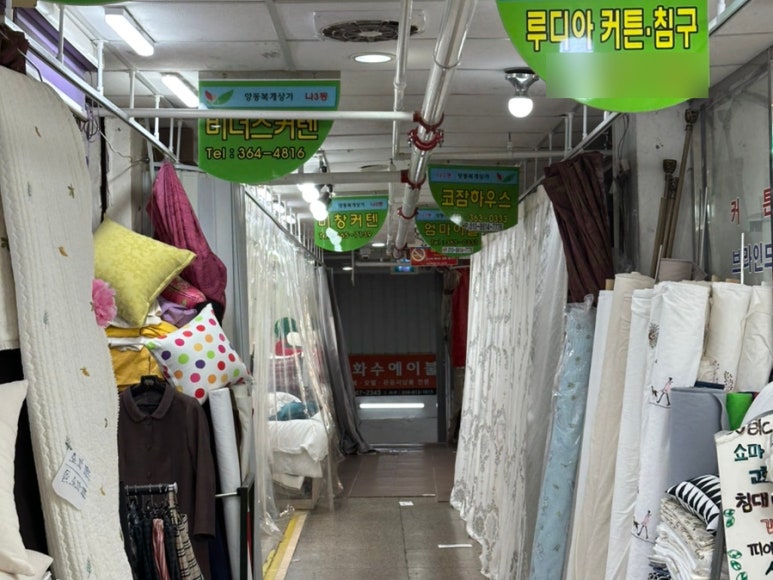 양동수선 이미지
