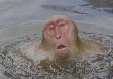 토곡 이미지