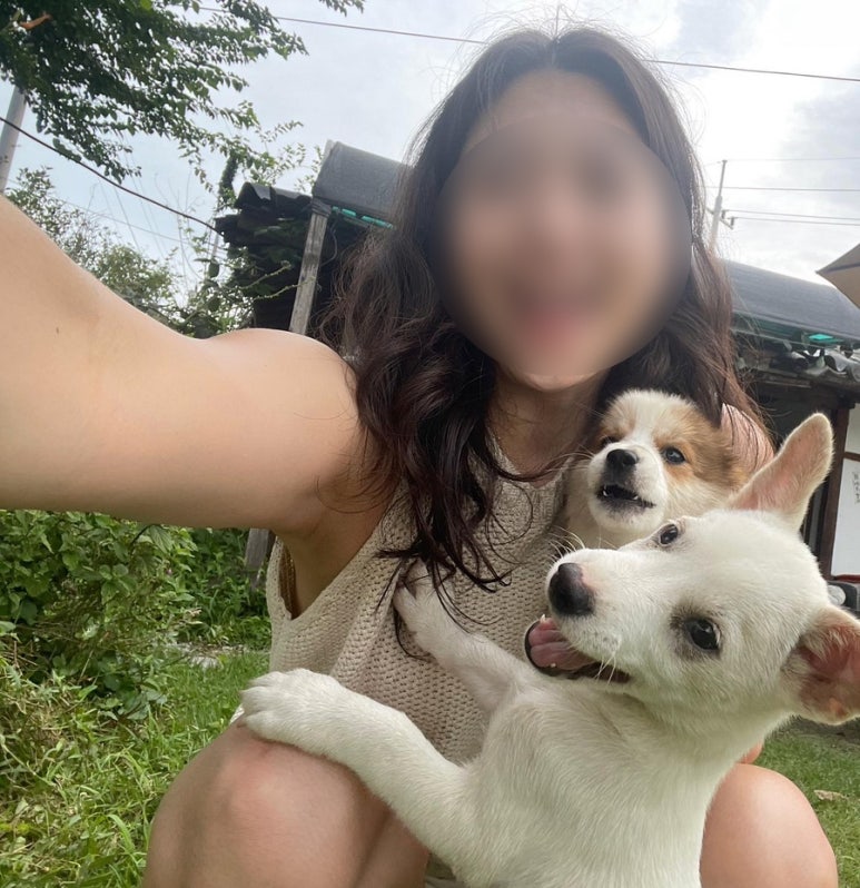 영로재한옥스테이 이미지
