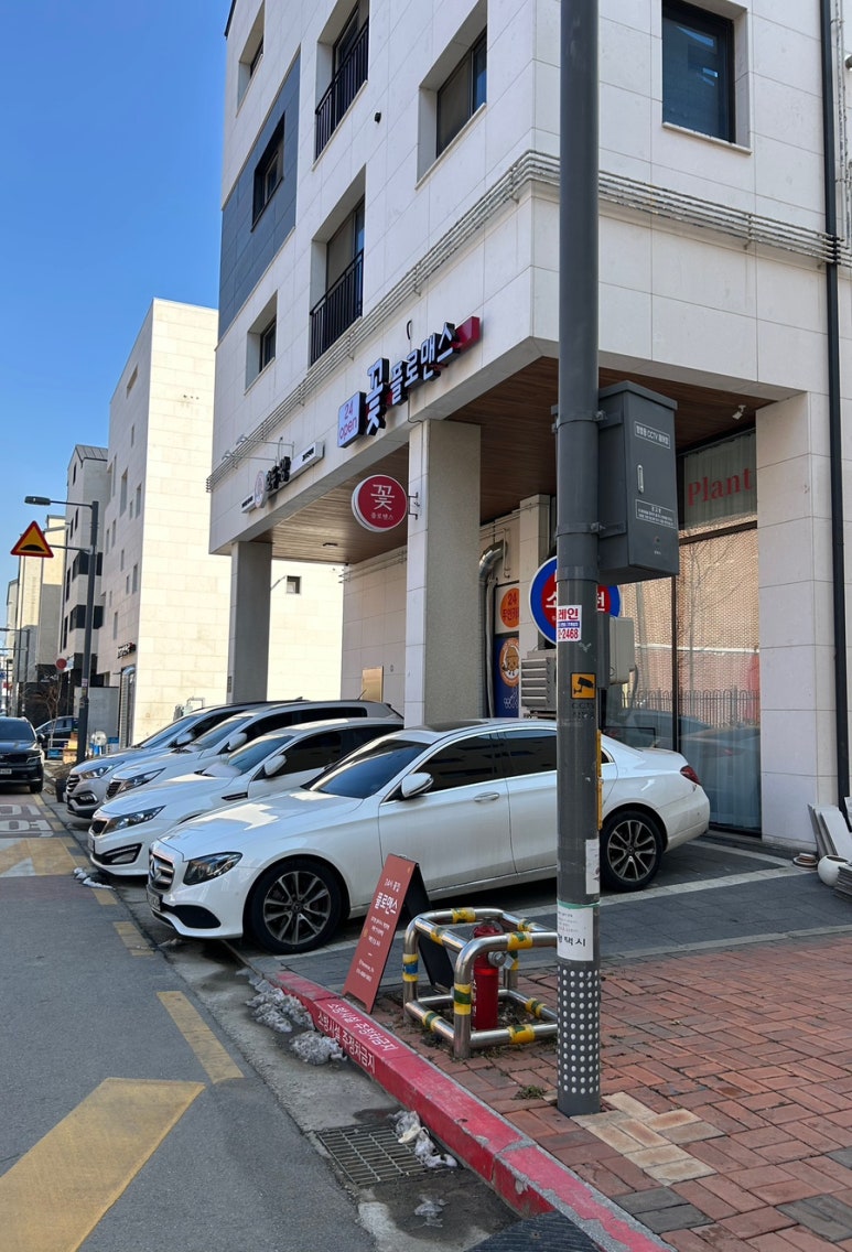 플로맨스 이미지