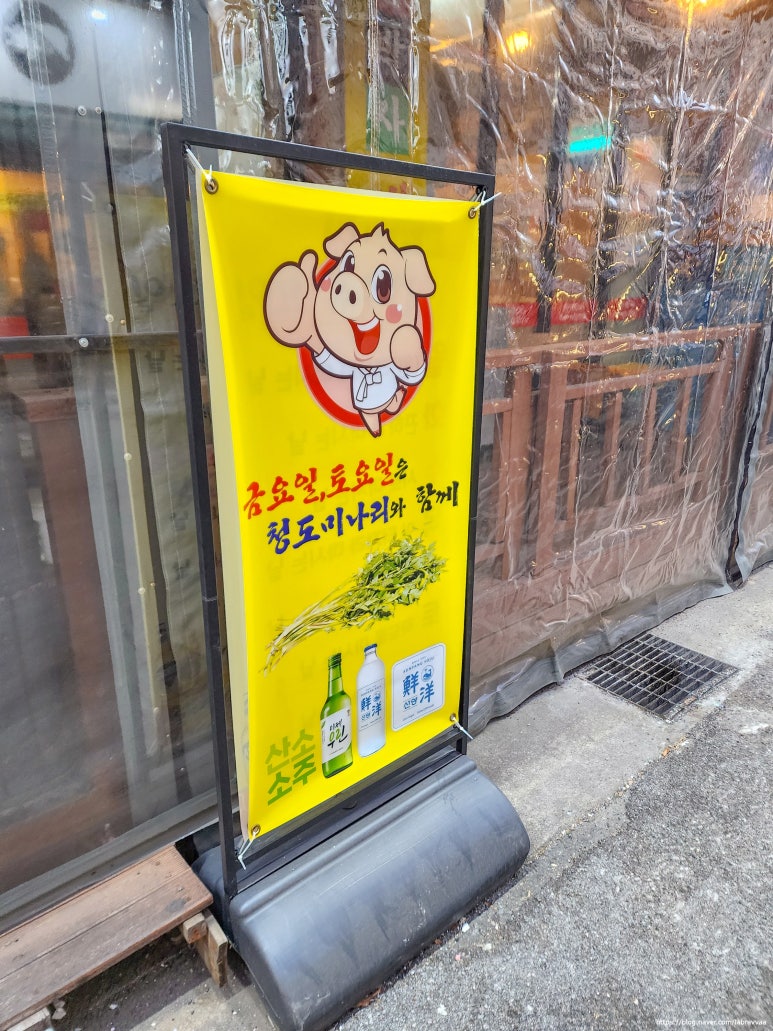 대패박사 이미지