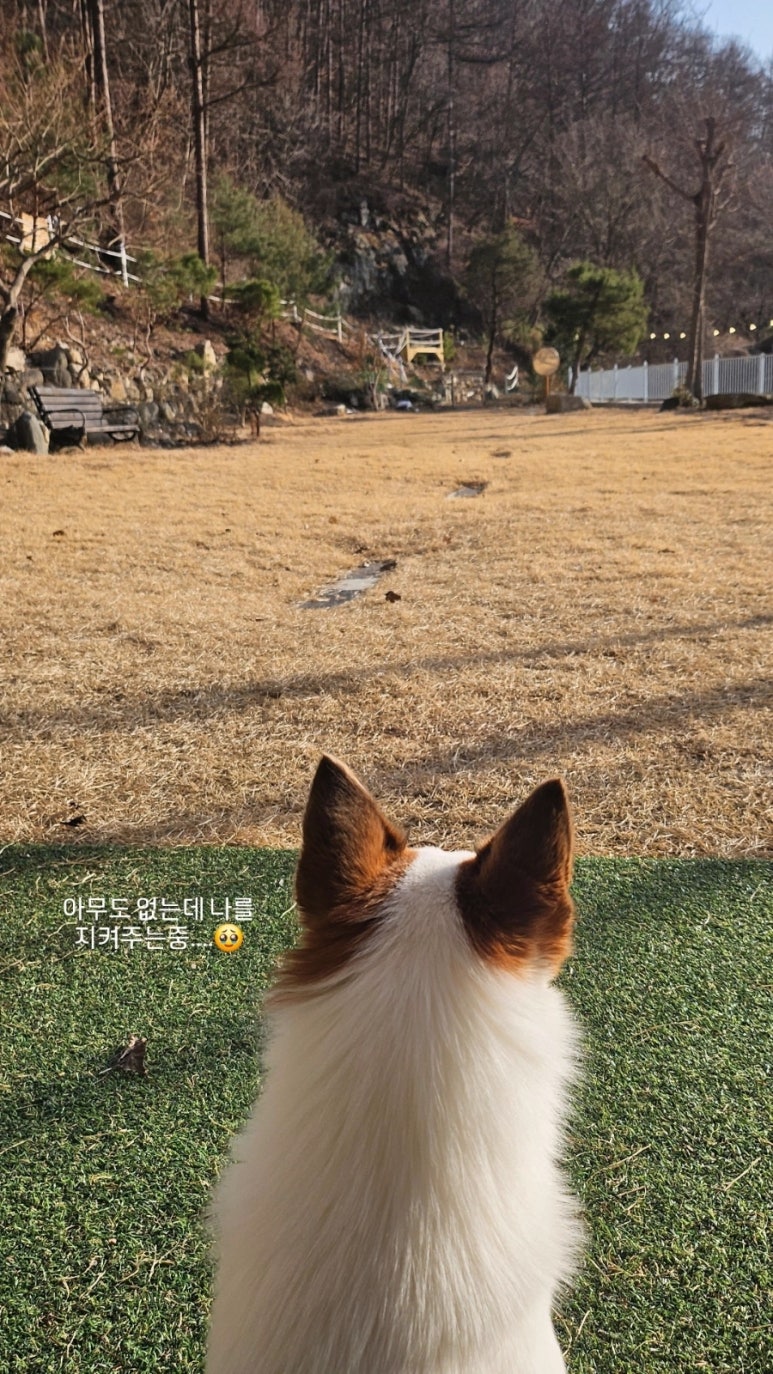 통이네집 이미지