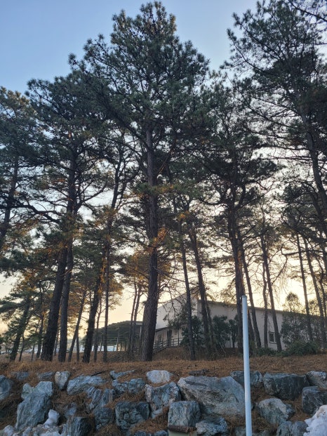 경기종묘사 이미지