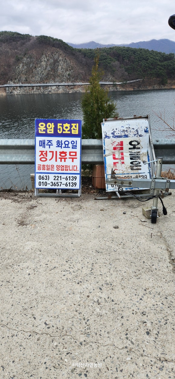 운암5호 이미지