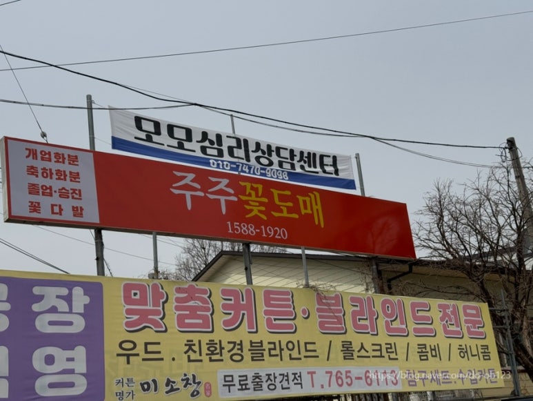 대한꽃도매 이미지