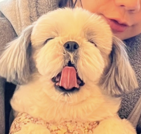 디자인모에 이미지