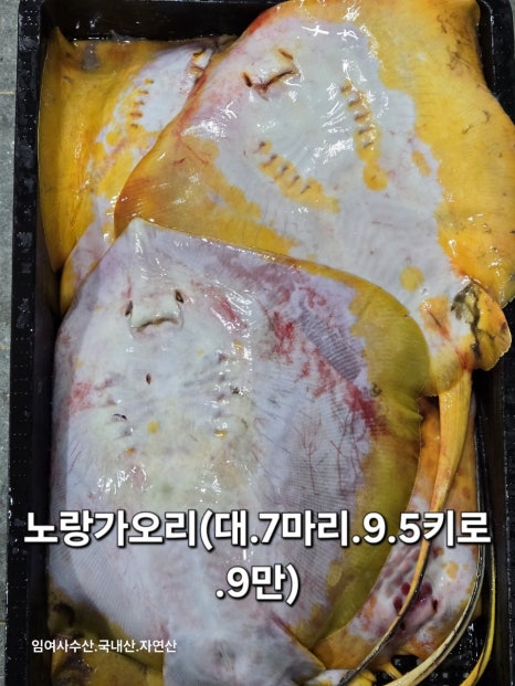 임여사수산 이미지