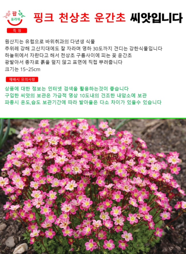 팝스페이스 이미지