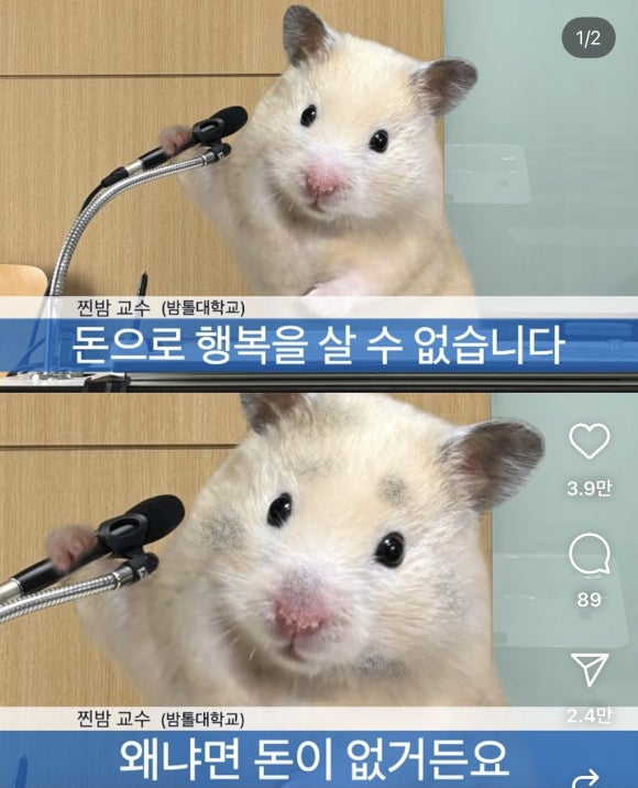 라신반라신반서울1호점 이미지