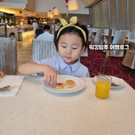 자매과일야채 이미지