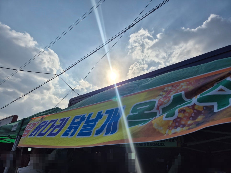일로야채 이미지