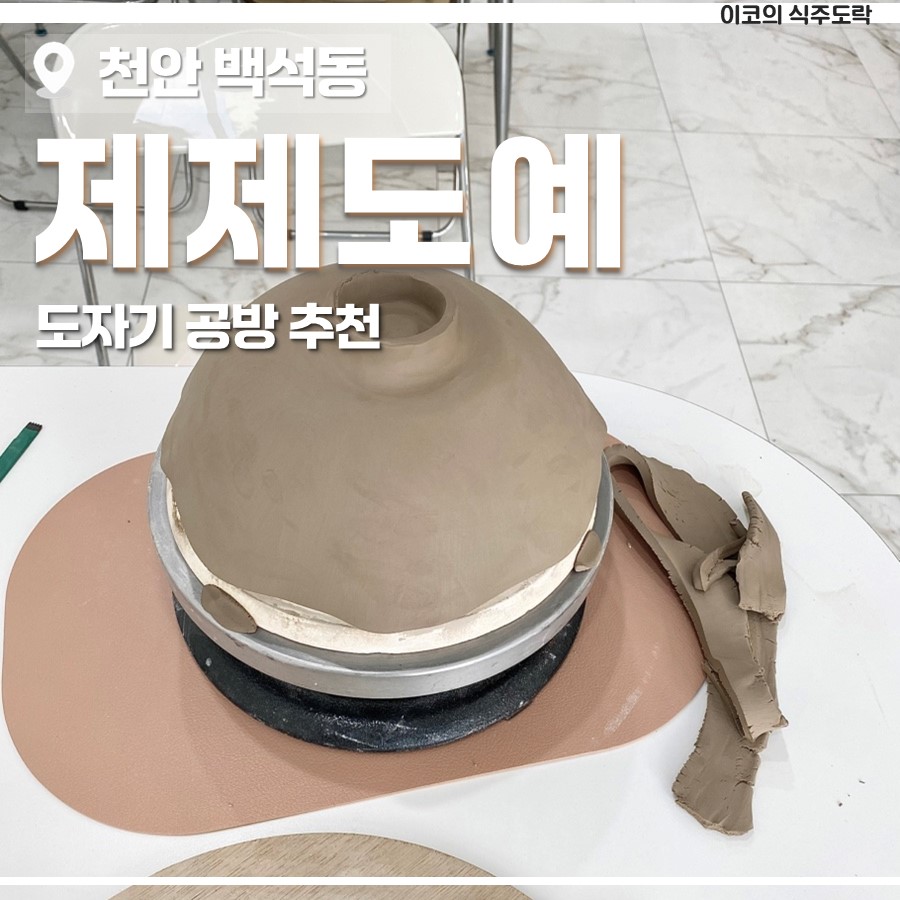 제제도예 이미지