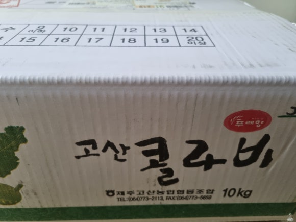 제주김집사 이미지