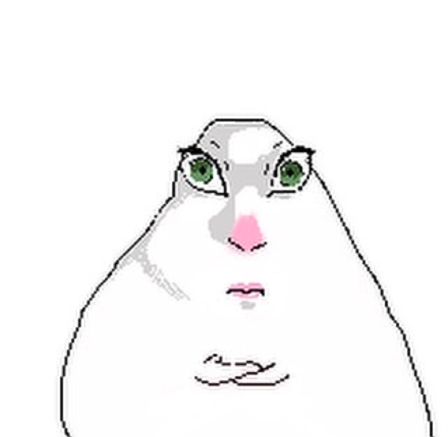 키라키라 이미지